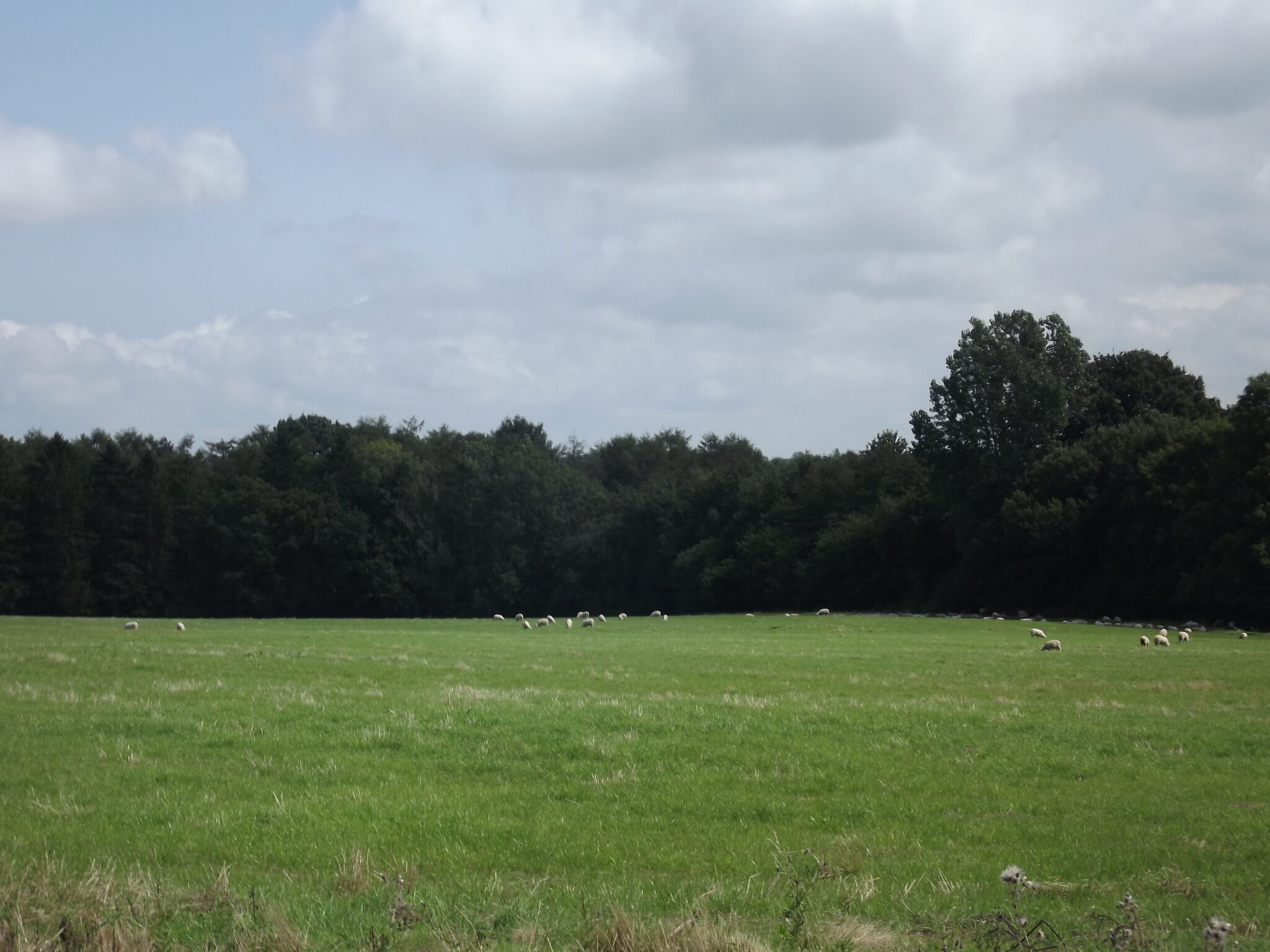 Speldhurst and Langton Green. About 63 acres (25.5 Ha). Pasture