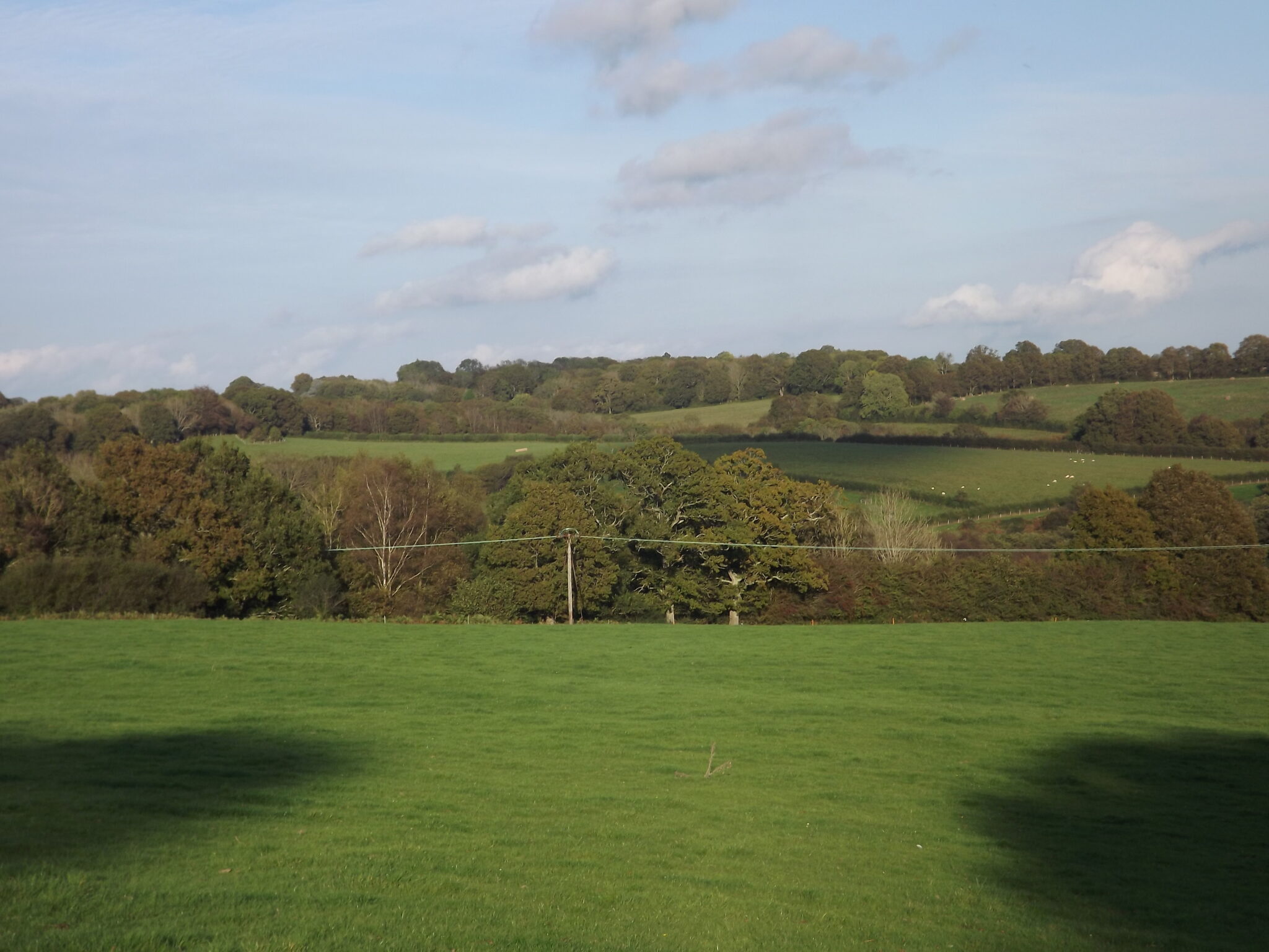 Ticehurst/Stonegate. About 13.2 Acres (5.3h Ha) of pasture. Watsons