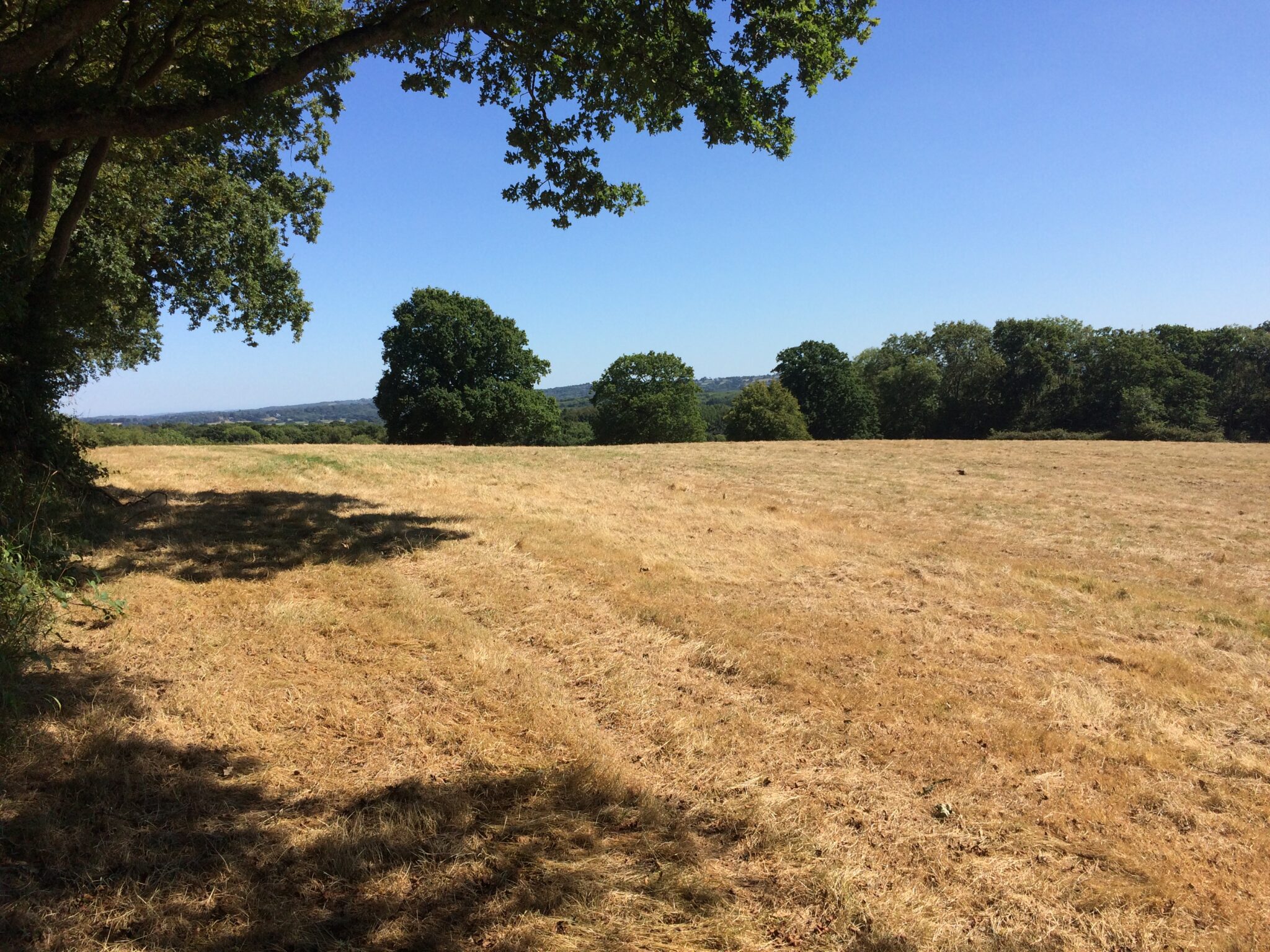 Mayfield. About 5.1 acres (2.1 Ha) of grazing and woodland. Watsons