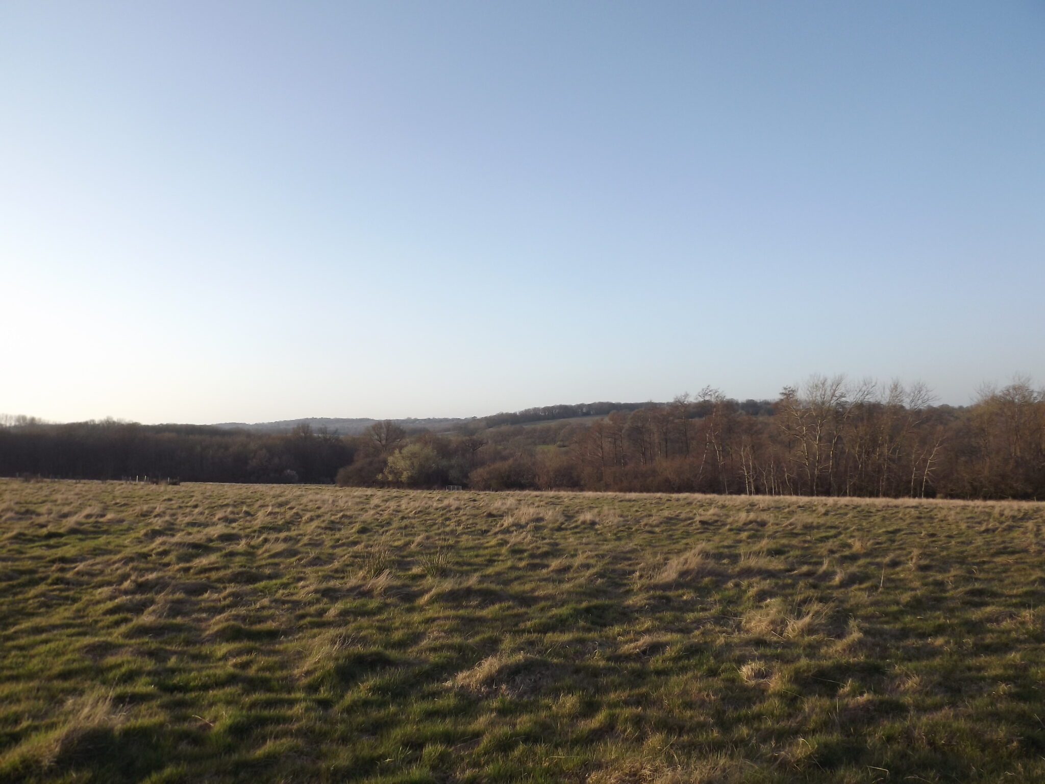 Hurst Green, East Sussex. About 41 acres (16.6 Ha) of grassland and