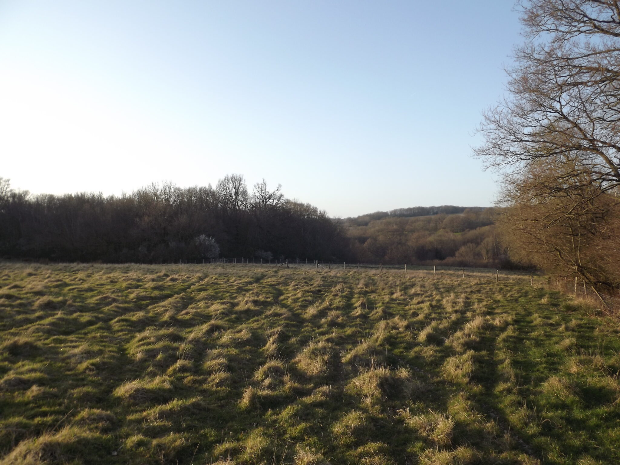 Hurst Green, East Sussex. About 41 acres (16.6 Ha) of grassland and