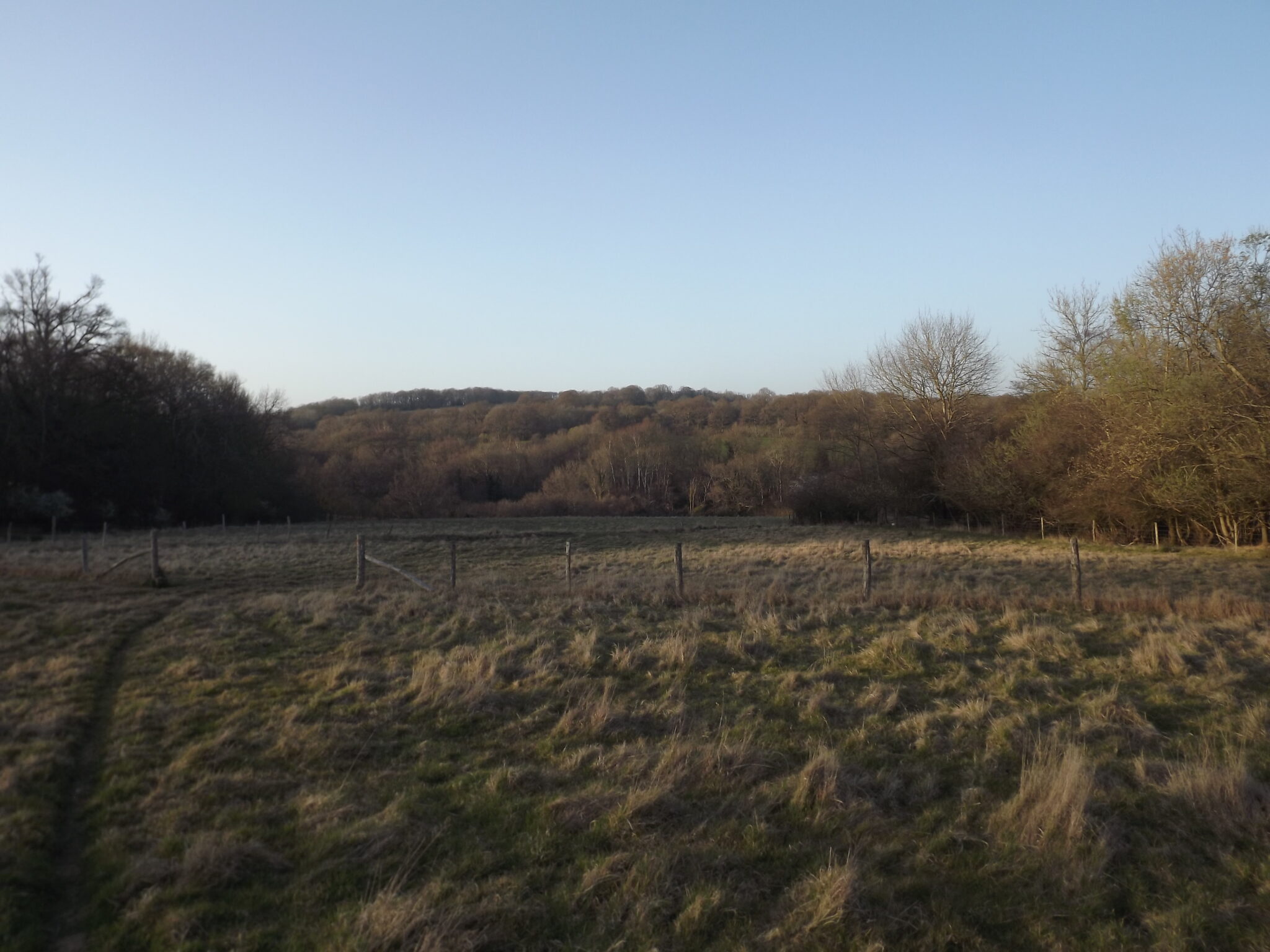 Hurst Green, East Sussex. About 41 acres (16.6 Ha) of grassland and