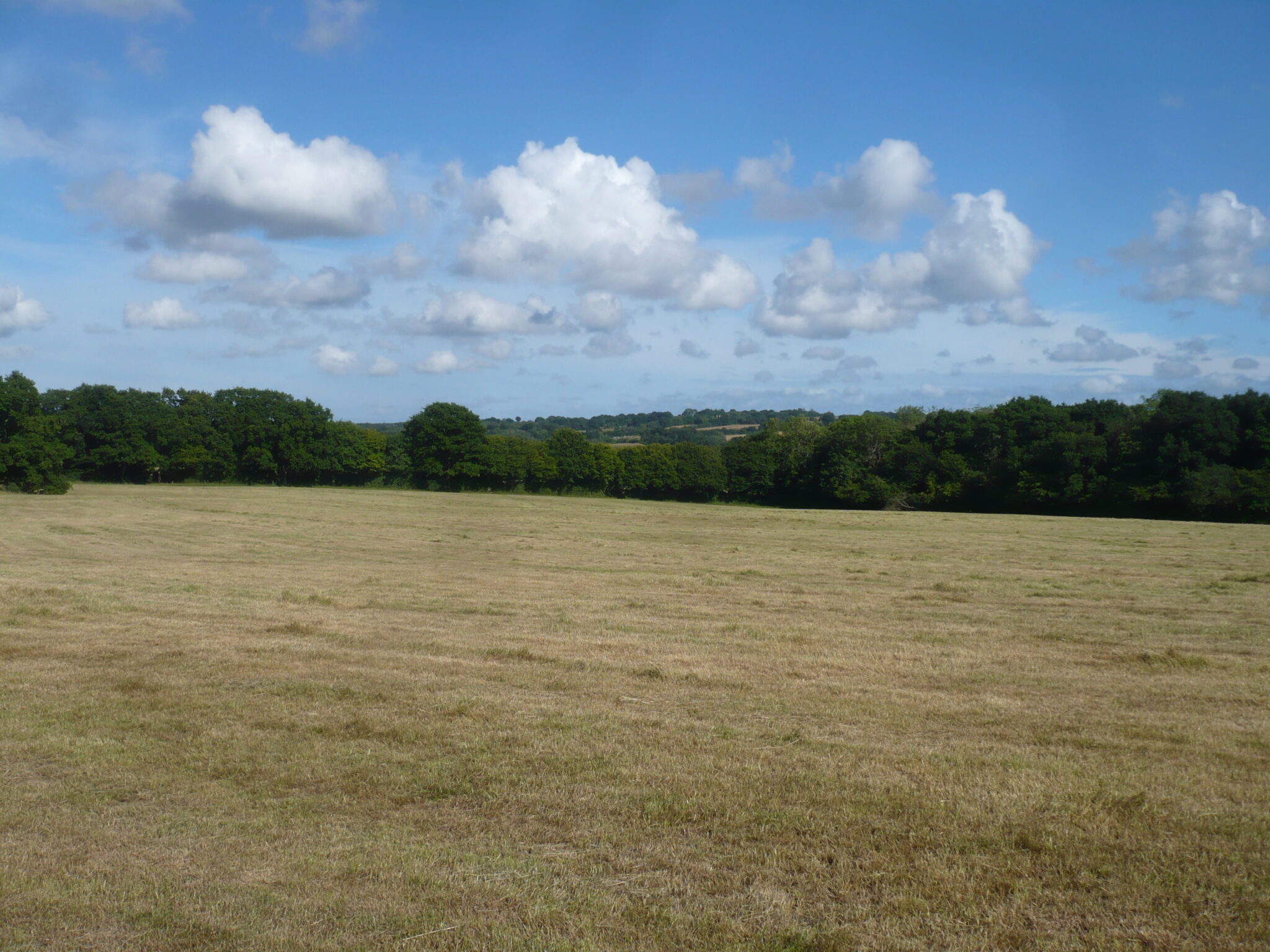 Salehurst, East Sussex. About 21.82 acres of pasture. Watsons Estates