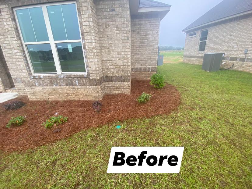 New Plant Installation Services Watson's Landscaping and Design