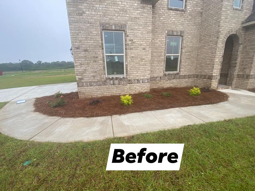 New Plant Installation Services Watson's Landscaping and Design