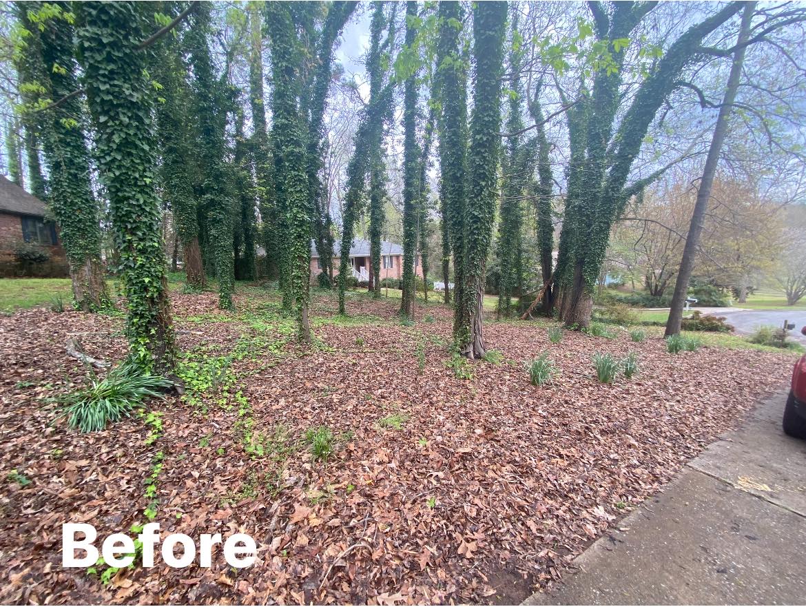 Sod Installation Watson's Landscaping and Design