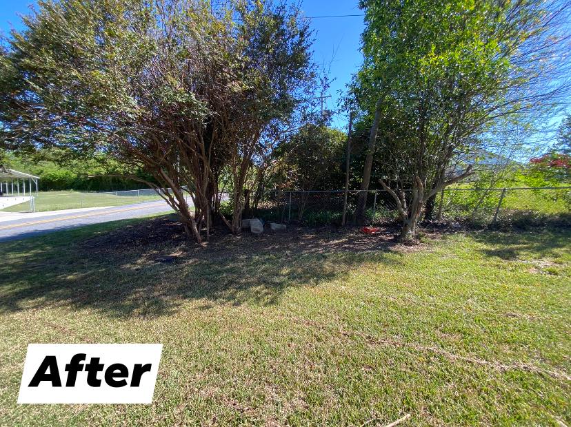 Yard Cleanup Services Watson's Landscaping and Design