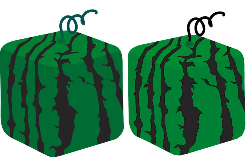 What's up with Japanese Watermelon and Suikawari