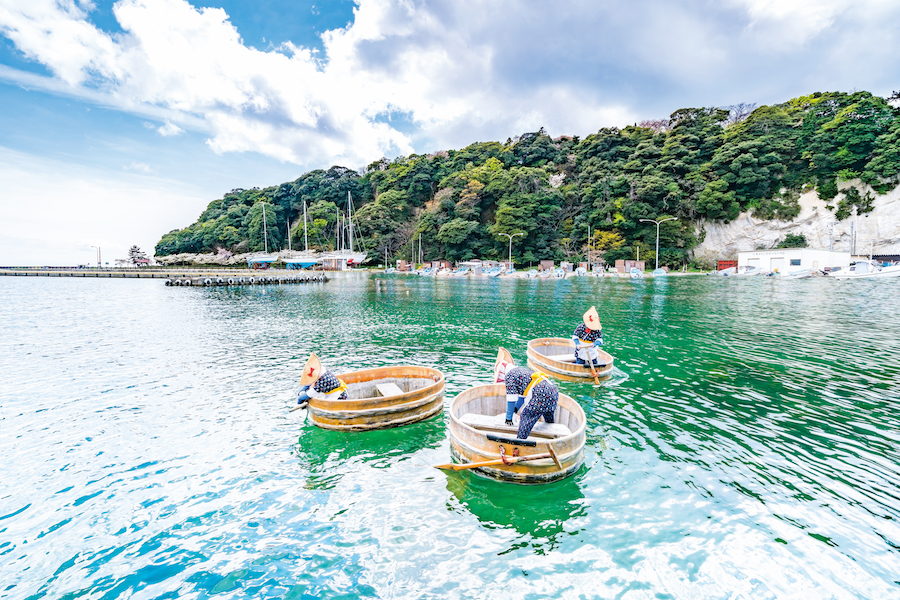 Explore the Unique Variety of Niigata The Sea of Japan, Savory Food