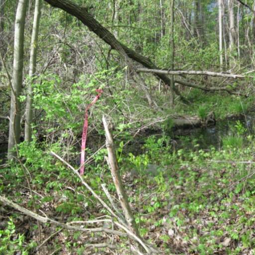 Reconstruction of Beebe Road from Hopkins Creek to WilsonBurt Road