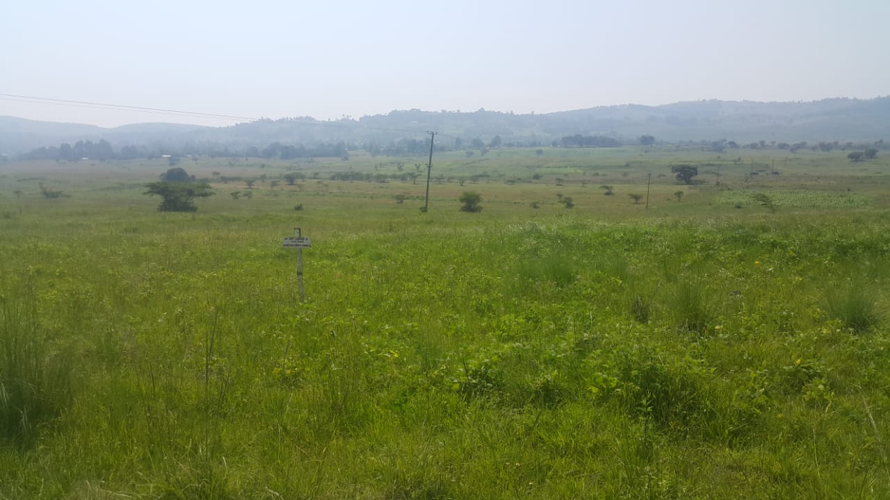Waumini Housing Save, buy land and develop in Kenya today!