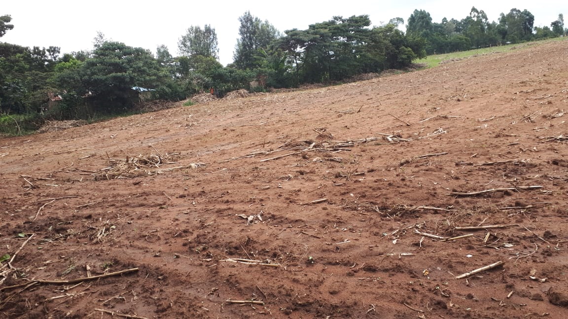 Kitale Plots Waumini Housing