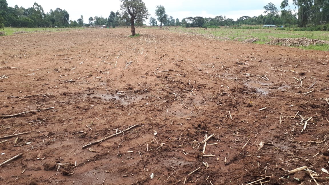 Kitale Plots Waumini Housing