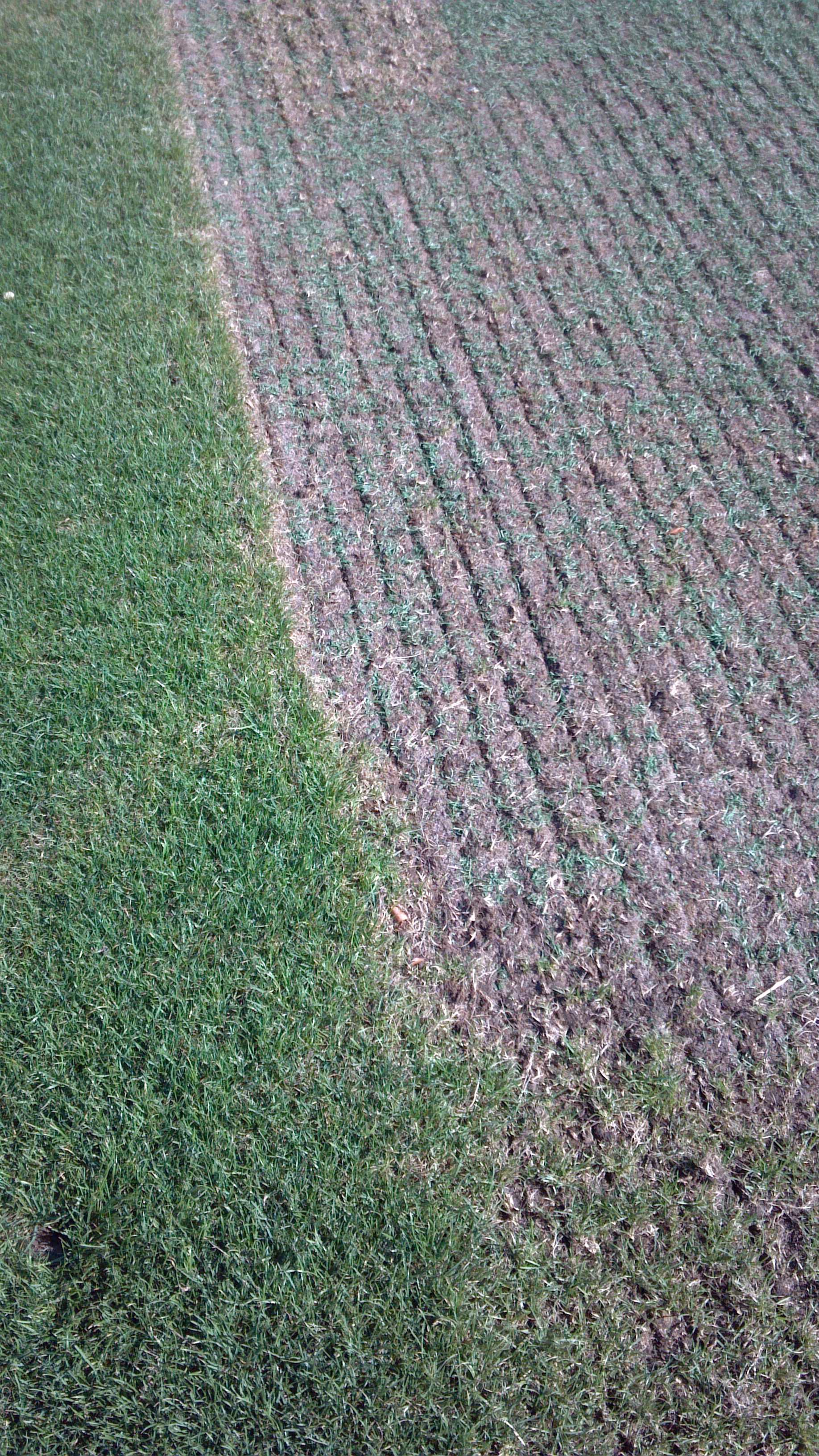 7/2/1 Sportsfield Topdressing Waupaca Sand & Solutions