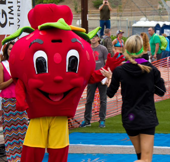 Strawberry Festival Race Registration Open Wavecrest Cafe Vista USD