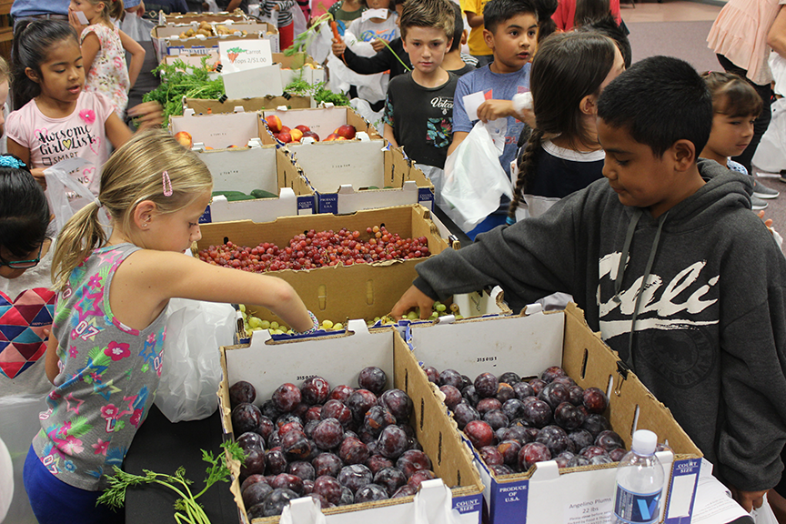 Farmers Markets At All VUSD Elementary Schools! Wavecrest Cafe Vista