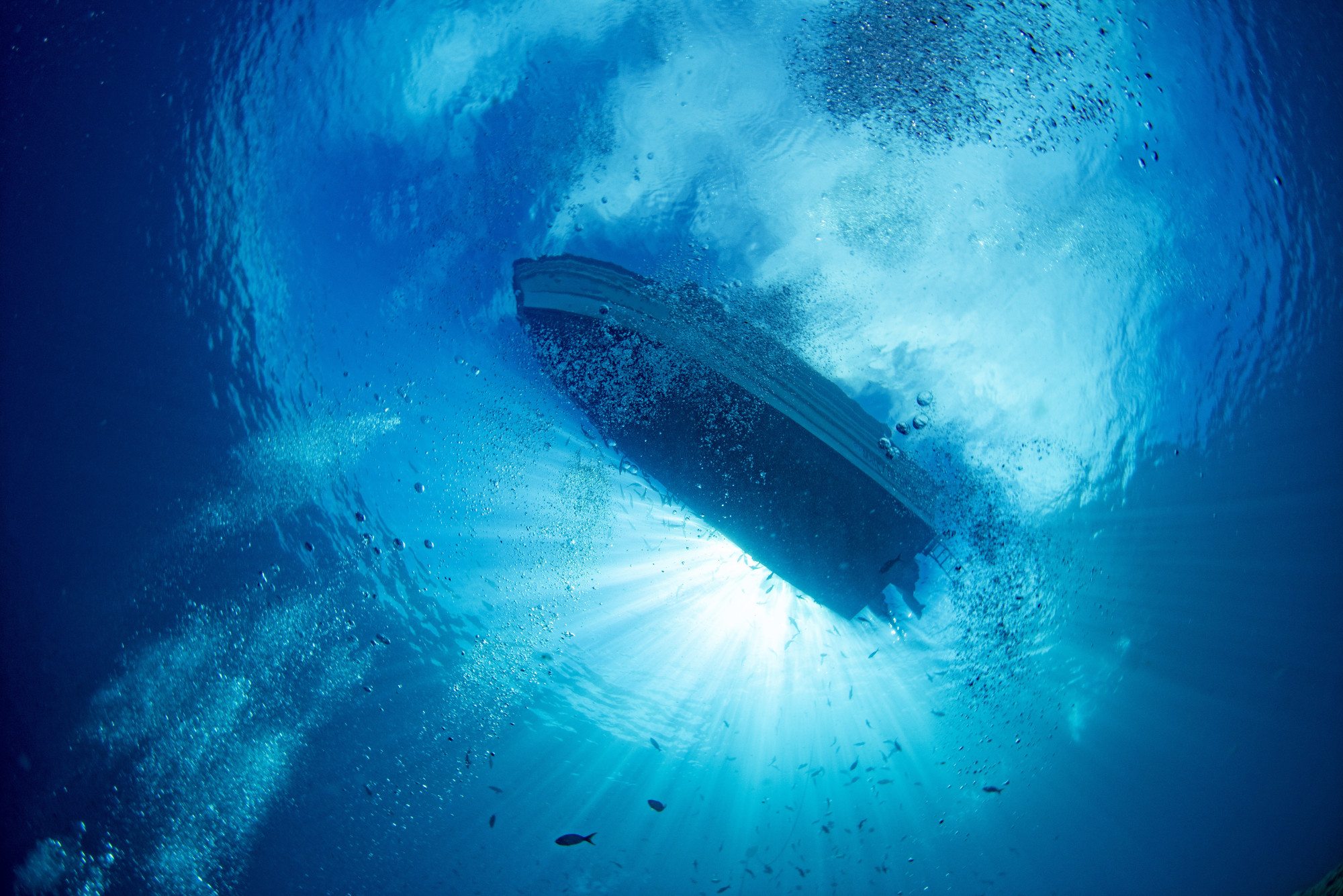 How to Bottom Fish 5 Secret Tips From Captain's For Success