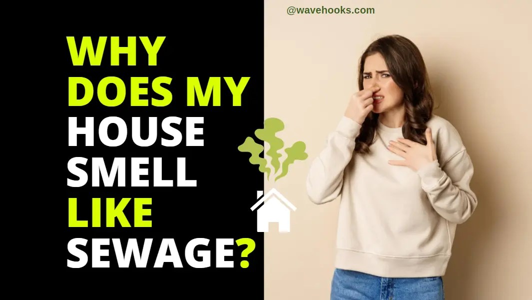 Why Does My House Smell Like Sewage 10 Reasons To Address! Wavehooks