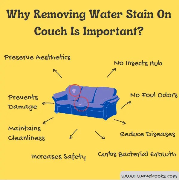 Remove Water Stain From Fabric Couch 16 Quick Solutions! Wavehooks