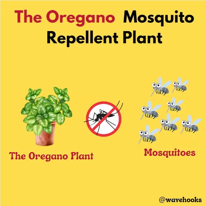 16 Top Effective Mosquito Repellent Plants Safe For Dogs!