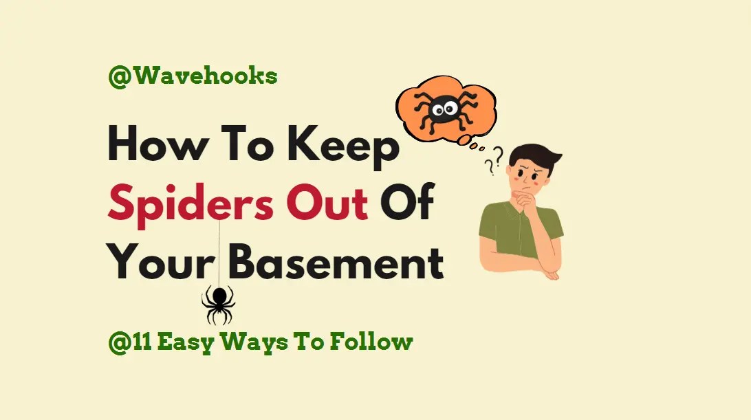 How To Keep Spiders Out Of Your Basement 17 Proven Tactics! Wavehooks