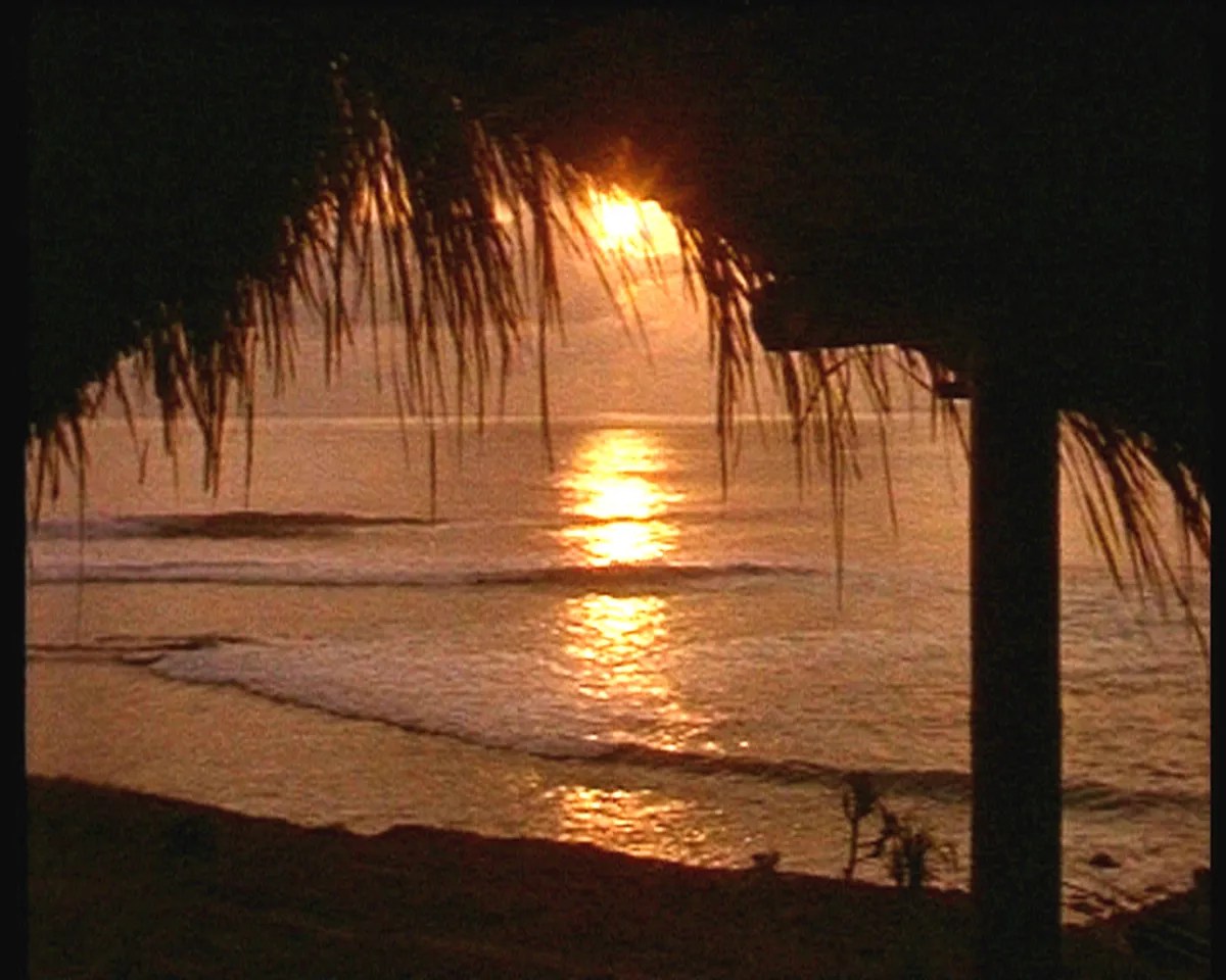 The Story Of Jack McCoy's Most Exciting Surf Discovery Hiswai