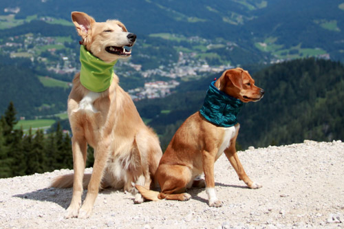 Loops WAXWERKE Mäntel für Frau & Hund