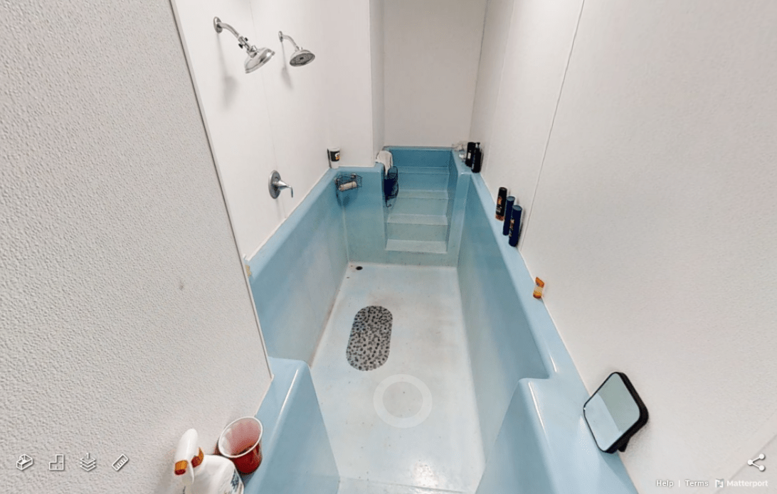 The House on Blue Lick Road