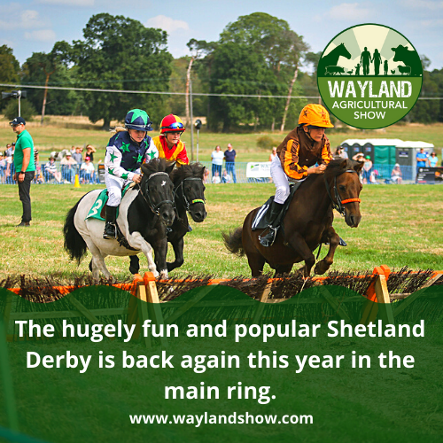 Main ring The Wayland Show