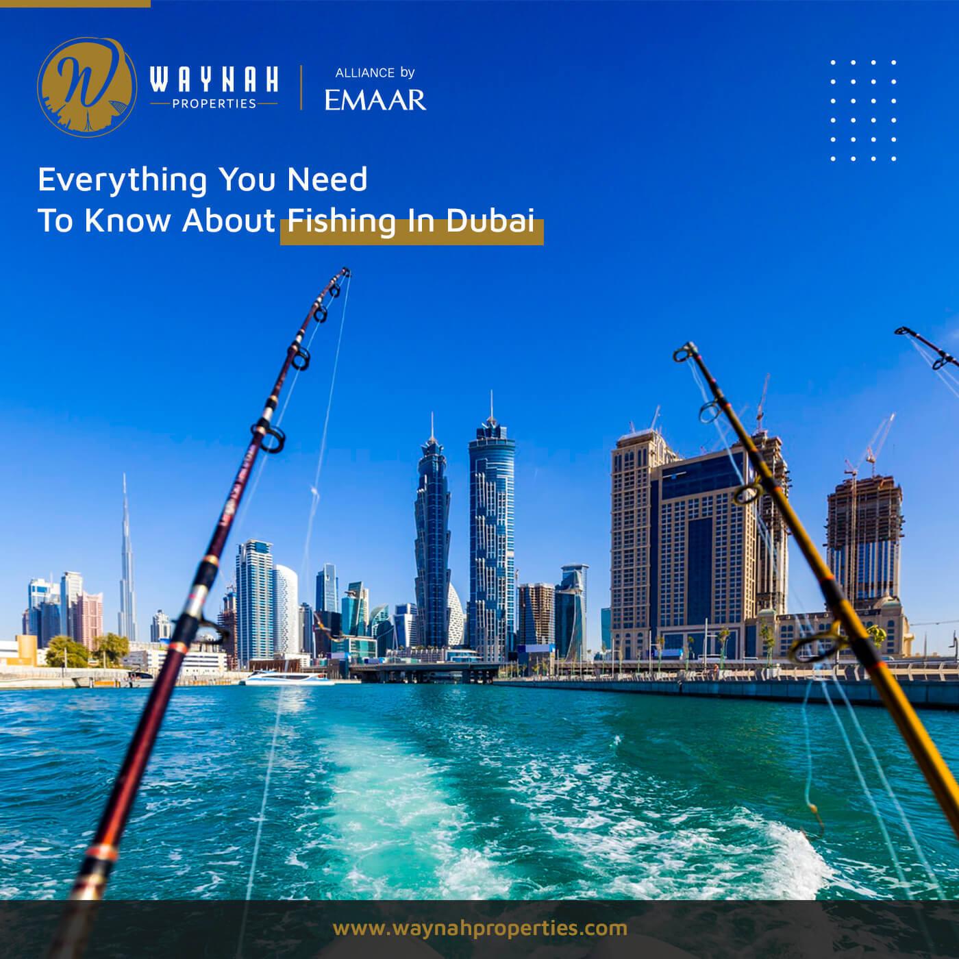 Everything You Need To Know About Fishing In Dubai Waynah Properties