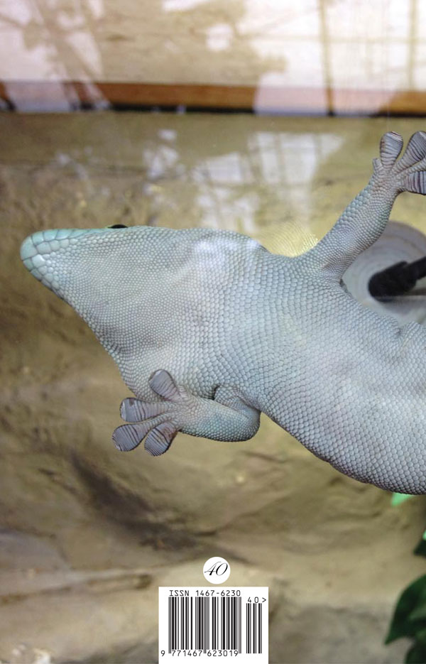 The Lyric Mode (Brittle Star, issue 39, 2017) Wayne Burrows