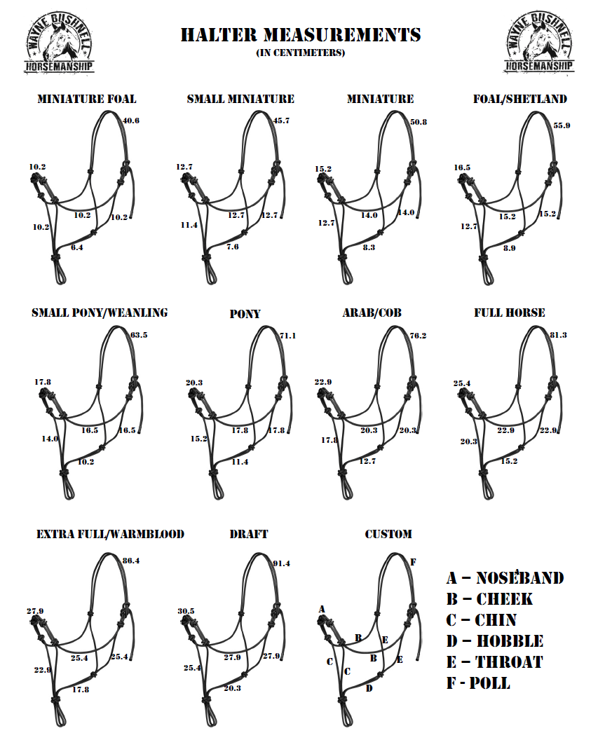 SizeChart Wayne Bushnell Horsemanship