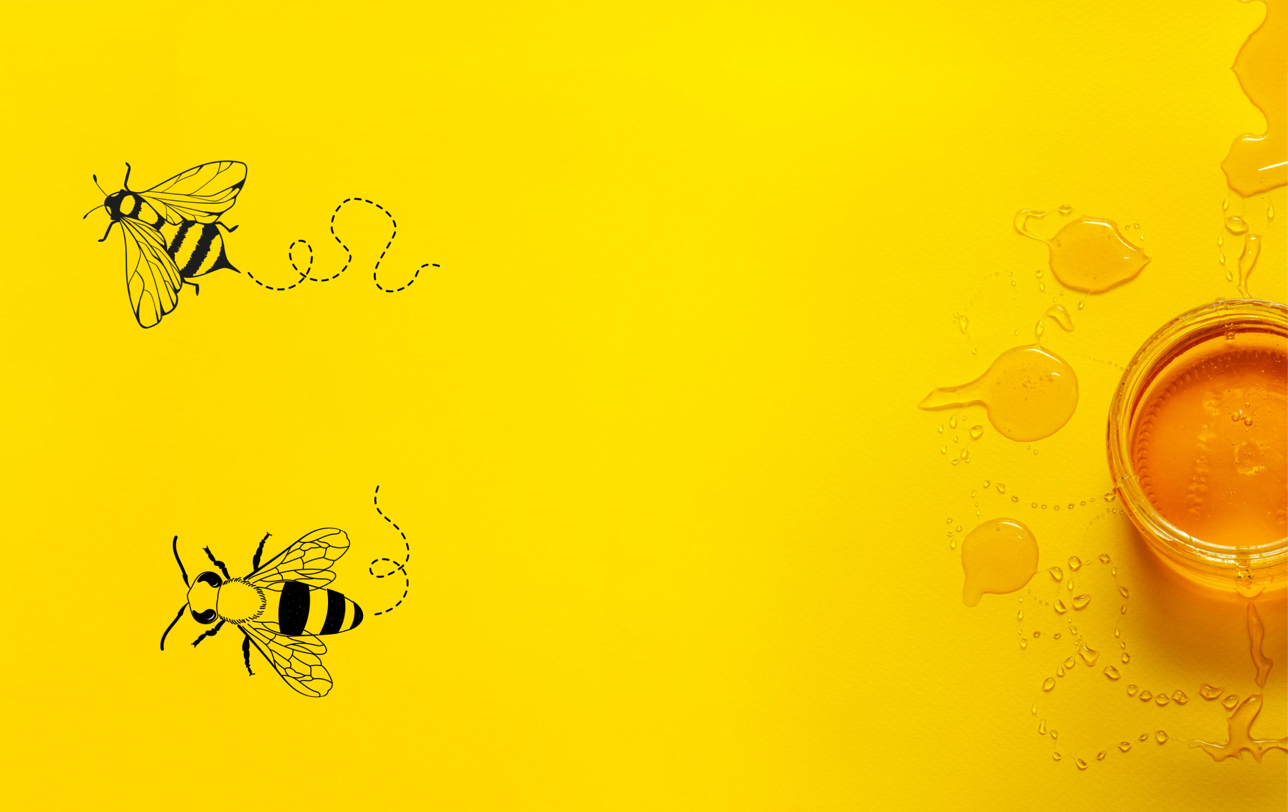 Expert Custom Home Building in MI, OH, PA & WV Wayne Homes