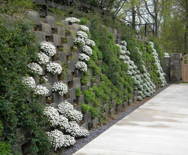 Creative Retaining Wall Ideas for Your Garden