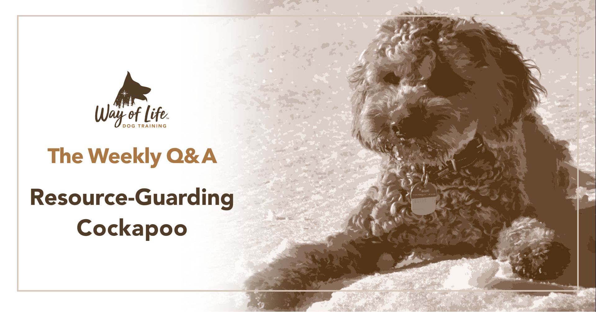 Resource Guarding Cockapoo Way of Life™ Dog Training