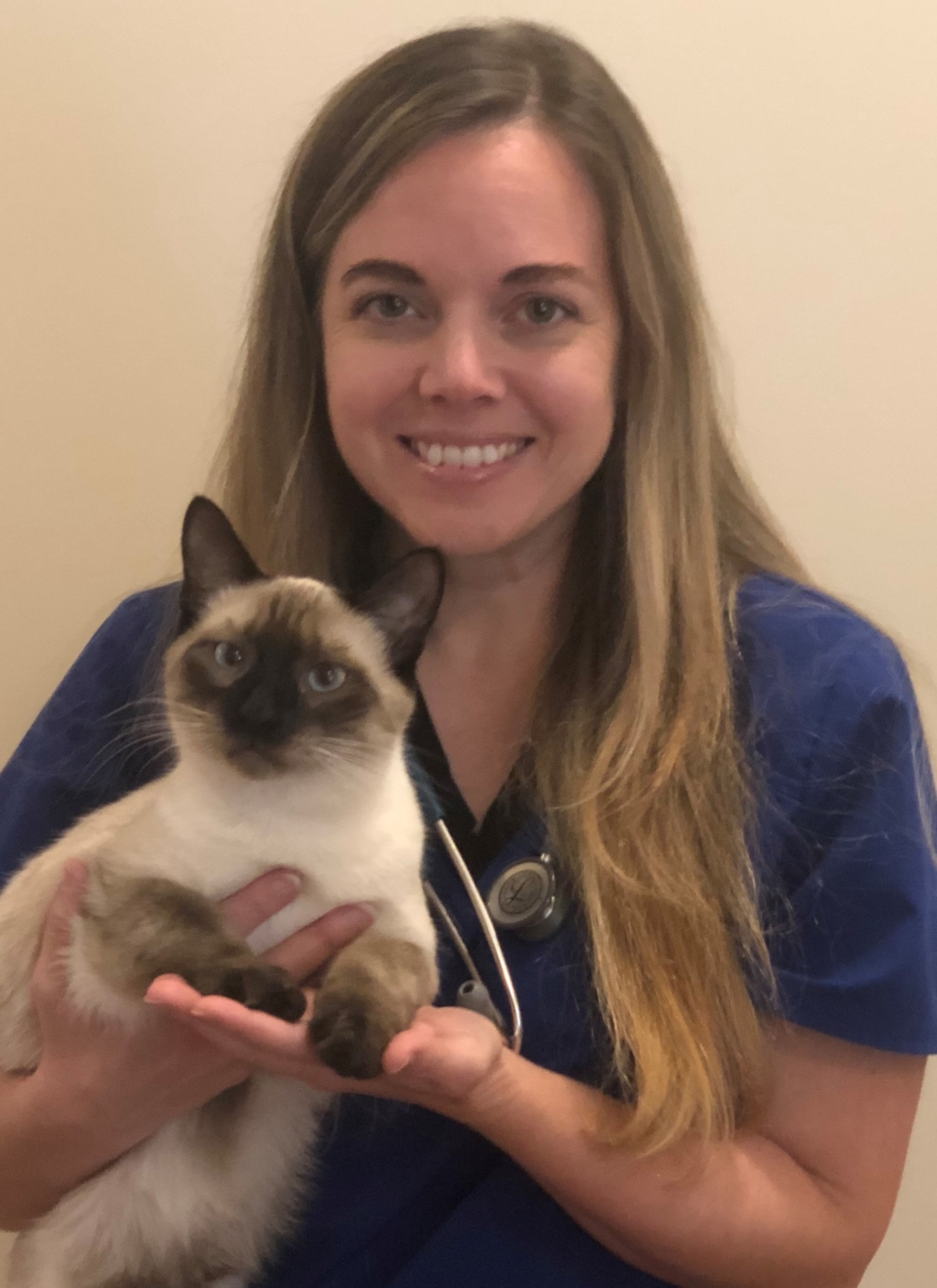 Wayside Animal Hospital Jasper, GA