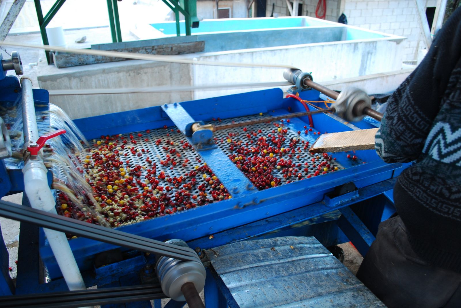 Tanzania coffee Board