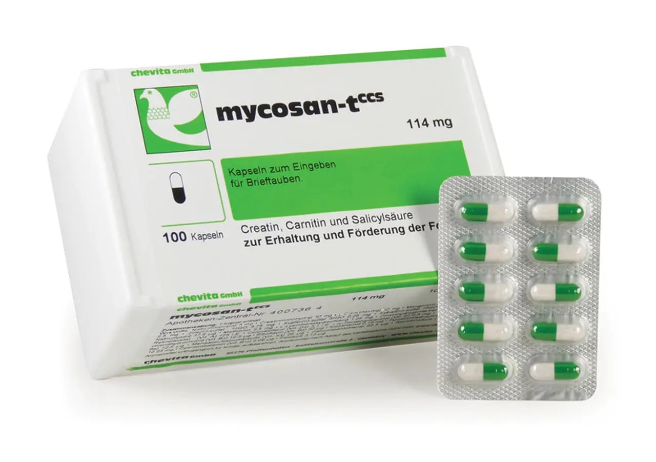 Online Pet Food Store in Kuwait Buy Pet Accessories in Kuwait