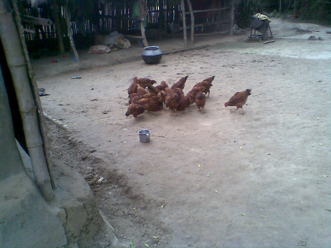 Official Website of West Bengal Comprehensive Area