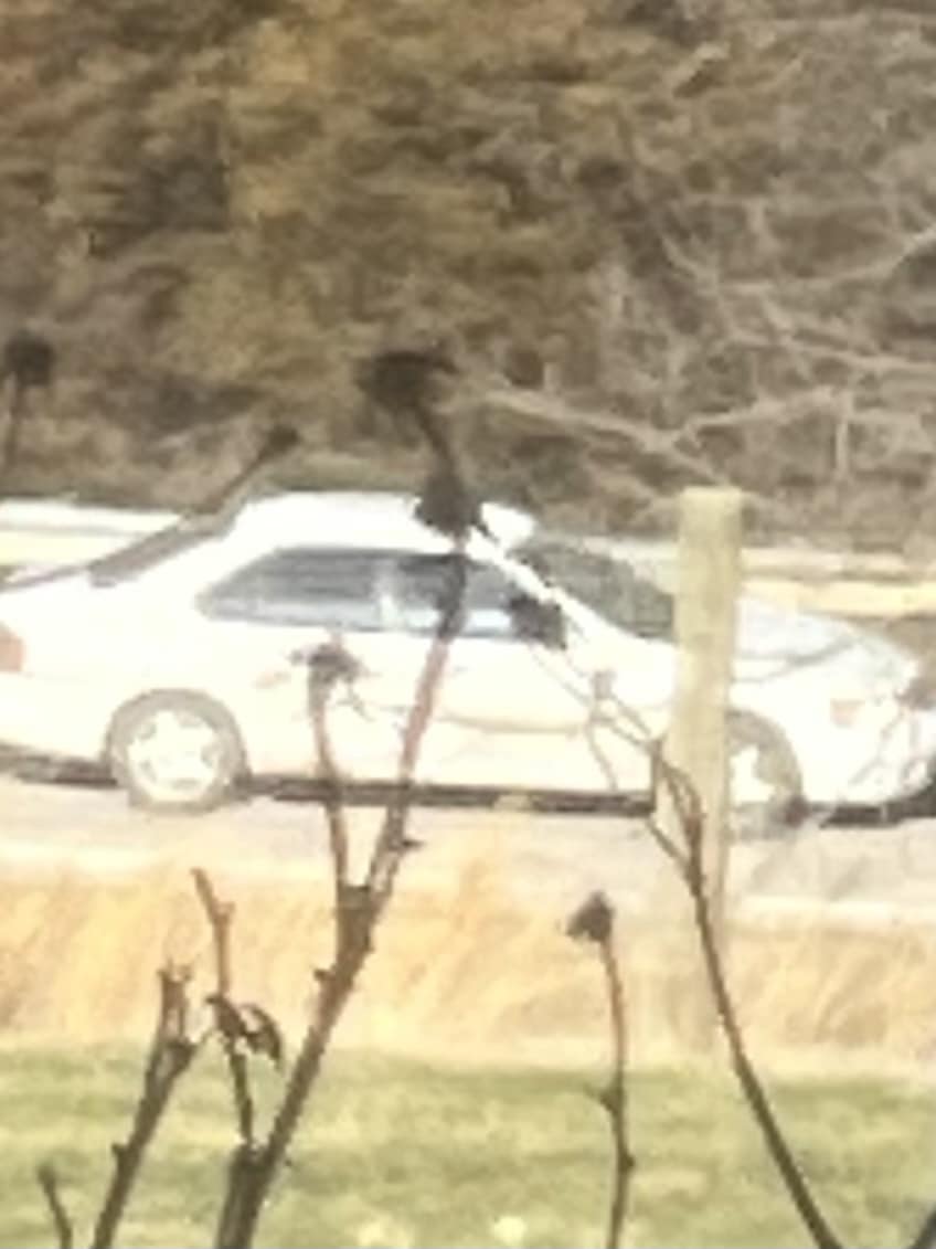 Estill County Sheriff’s office looking for ‘scammer’ WBONTV Local