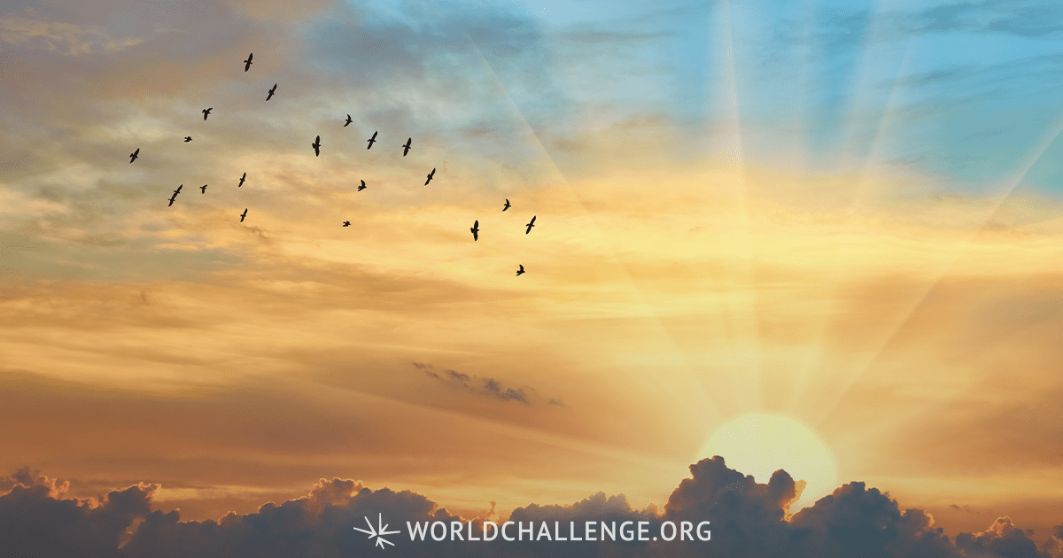 The Abundance of God’s Glory