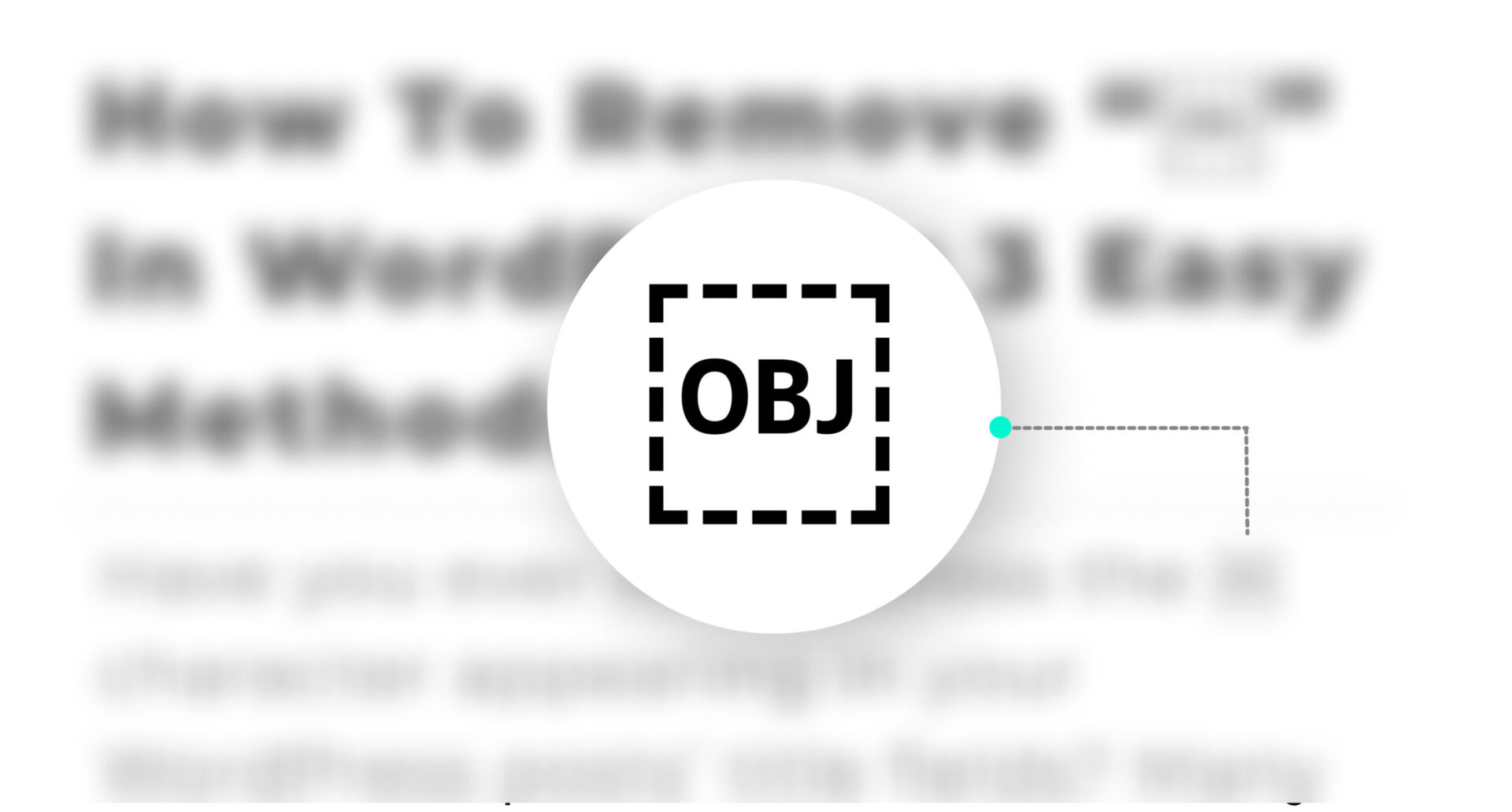 How to remove “OBJ in a box” in WordPress 3 easy methods. White Canvas