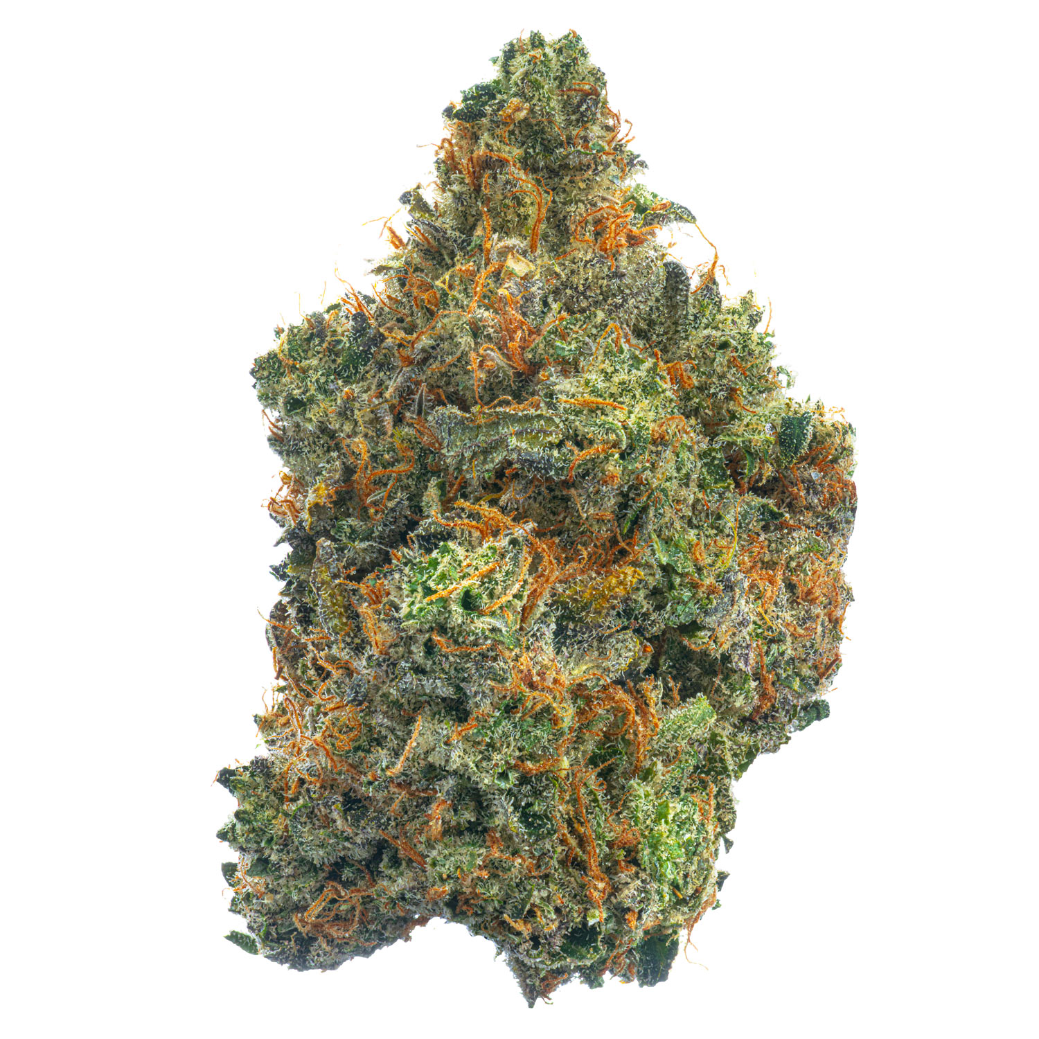 Banana Zkittlez West Coast Cure® WCC™