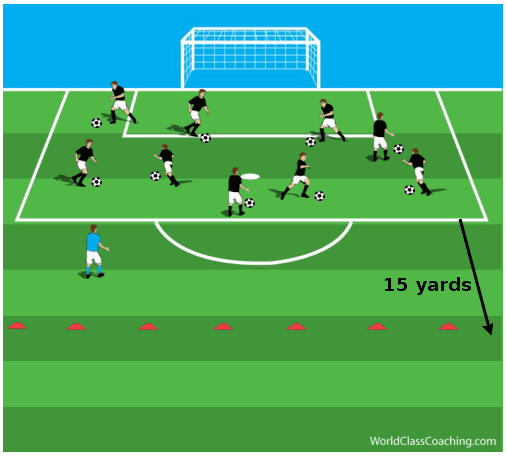Developing Aerobic Endurance and Dribbling Skills WORLD CLASS Developing Aerobic Endurance and Dribbling Skills WORLD CLASS