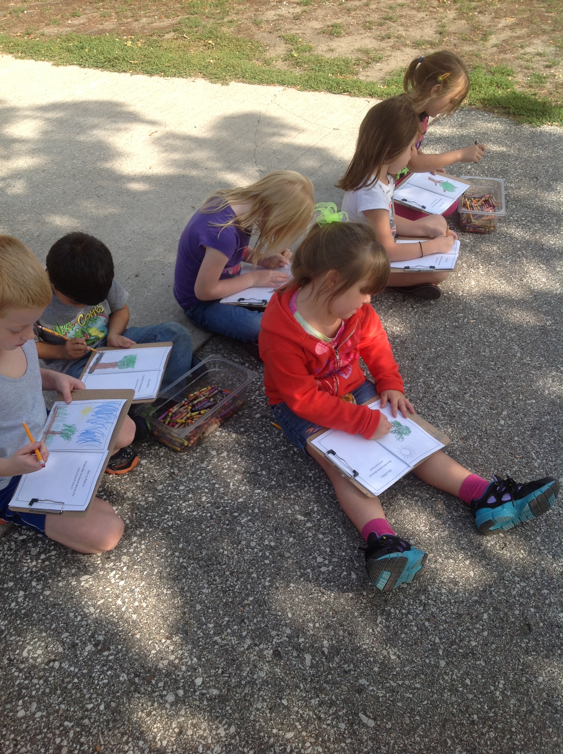 Kindergarten & Trees ster City Community Schools