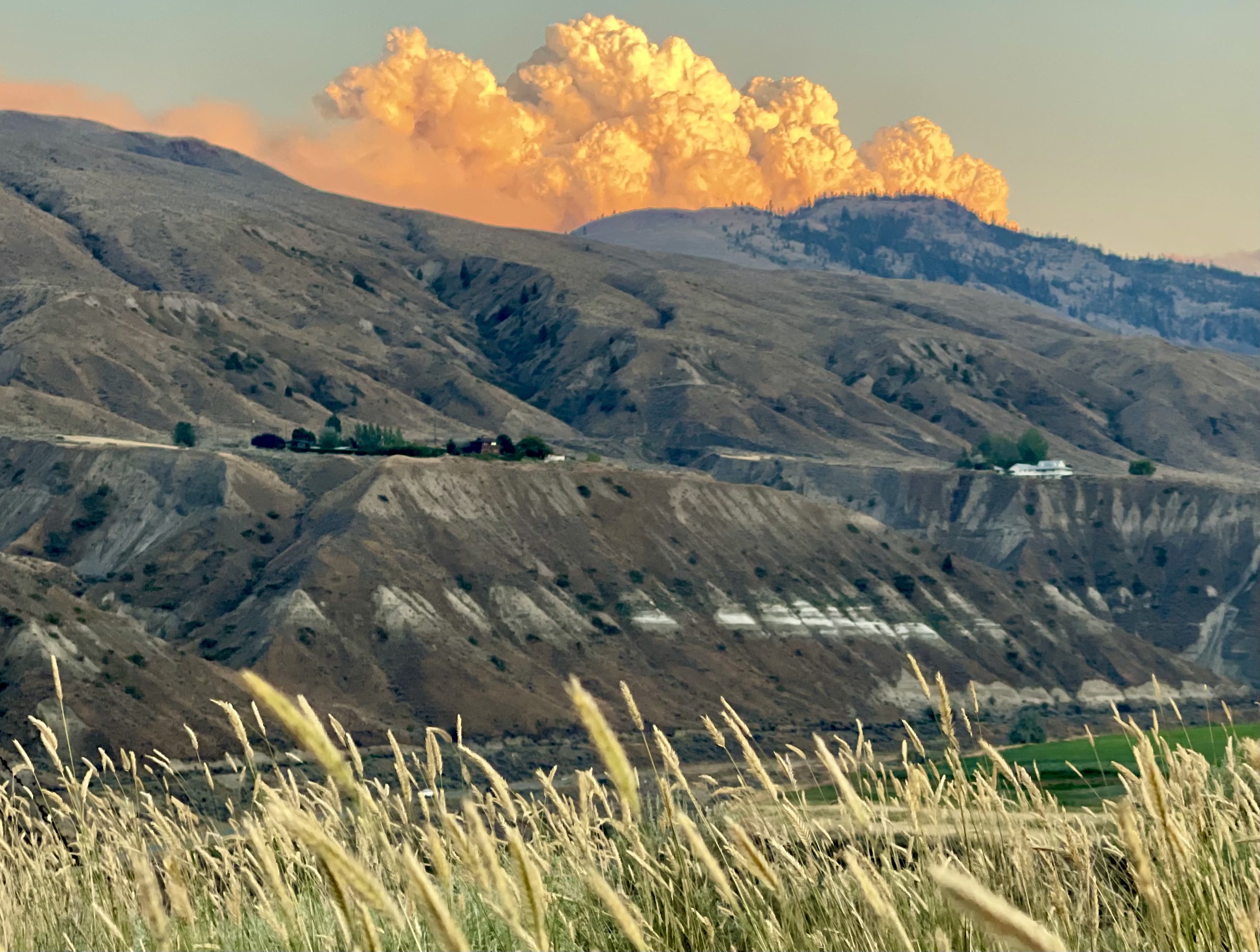 How hot is too hot? West Coast Environmental Law