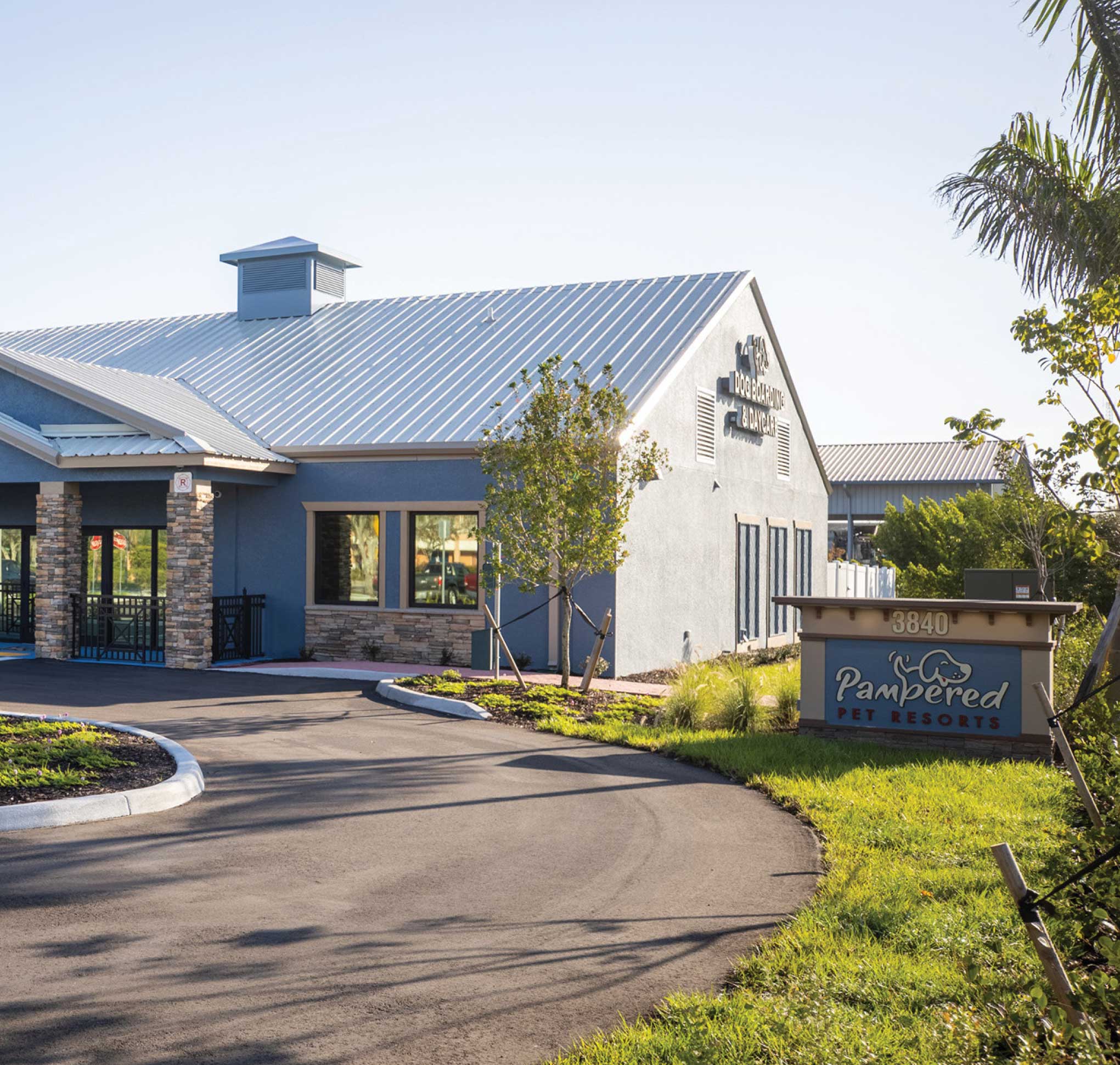 Pampered Pet Resorts Wilson Creative Group