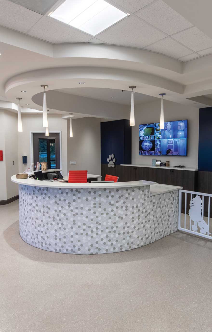 Pampered Pet Resorts Wilson Creative Group