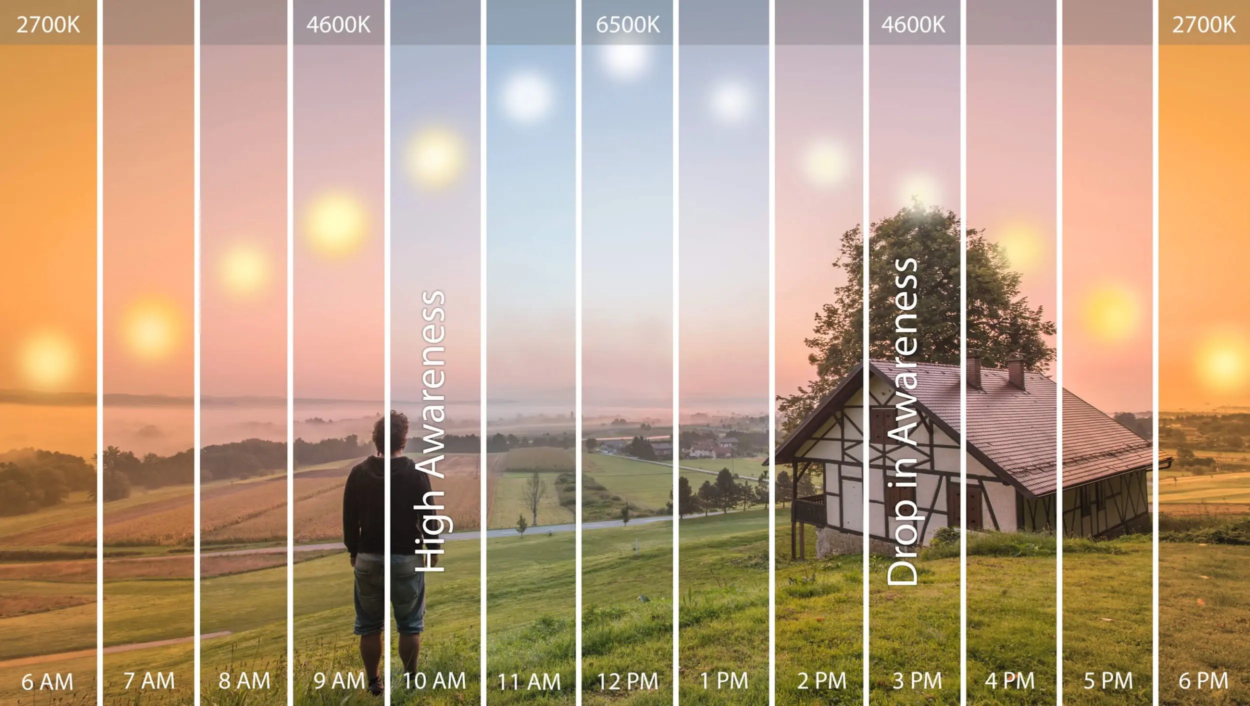 Circadian Lighting 101, Understand Health and Lighting WCI