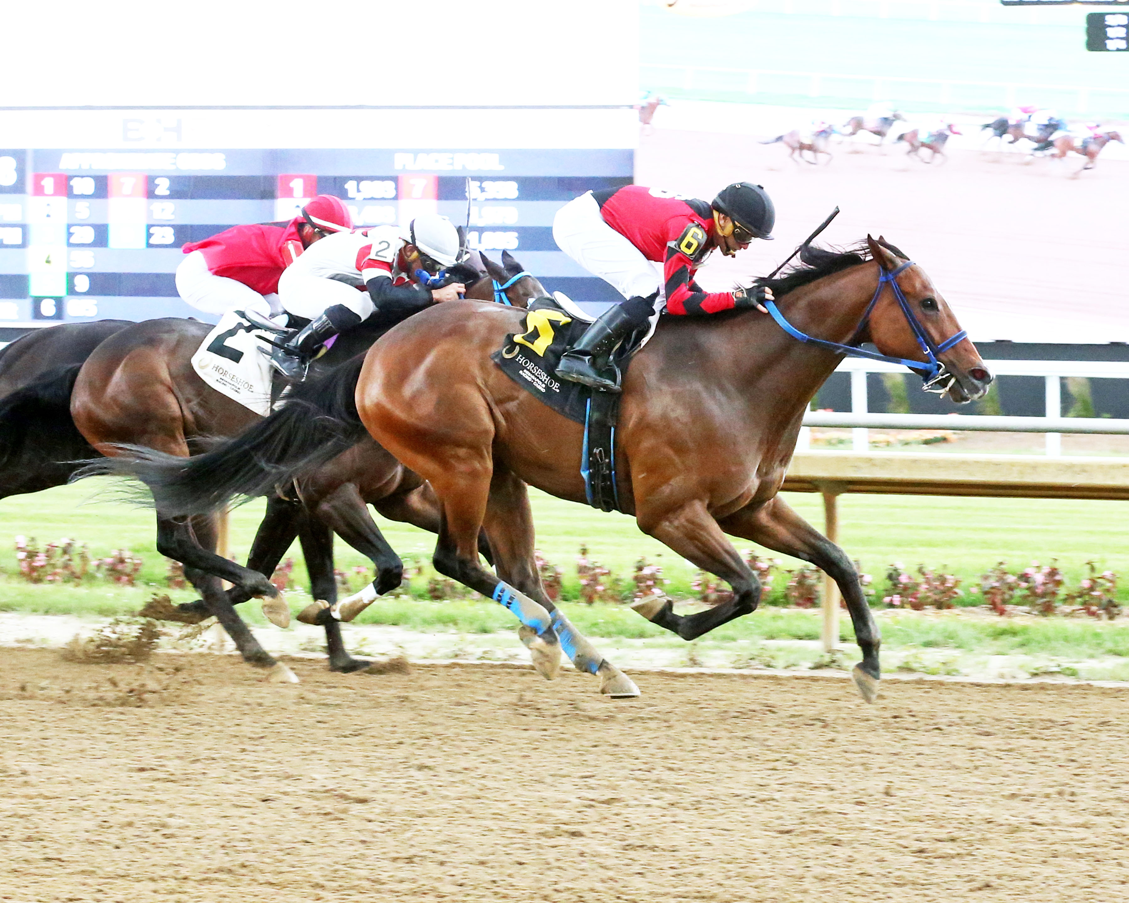 Horseshoe Indianapolis Racetrack Picks & Live Racing News DRF